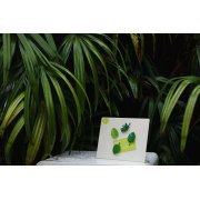 Набор магнитов Тропики арт. QL10296-GN