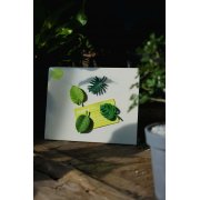 Набор магнитов Тропики