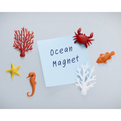 Магниты Ocean Ecology арт. QL10337-MX