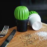 МЕЛЬНИЦА ДЛЯ СПЕЦИЙ Tasty Cactus арт. QL10252-BK-GN