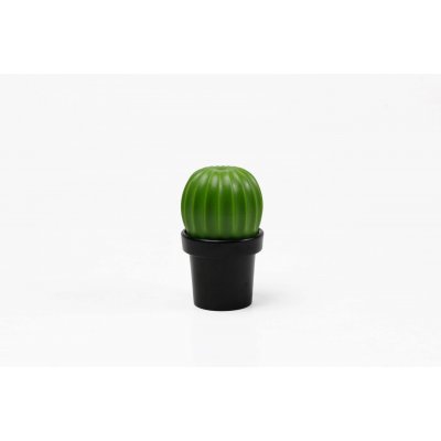 МЕЛЬНИЦА ДЛЯ СПЕЦИЙ Tasty Cactus арт. QL10252-BK-GN
