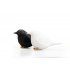 Набор для специй Sparrow Salt & Pepper арт. QL10232-BK-WH Набор для специй Sparrow Salt & Pepper арт. QL10232-BK-WH