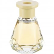 Диффузор ароматический Bloomfield, сосна и кипарис