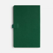 Ежедневник Lungo, недатированный, зеленый