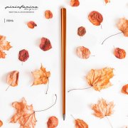 Вечная ручка Pininfarina Forever Prima RUST