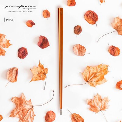 Вечная ручка Pininfarina Forever Prima RUST арт. NPKRE01568