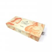 Вечная ручка Pininfarina PIUMA RAPHAEL URBINAS арт. NPKRE01723