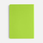 Ежедневник Flex Shall New, недатированный, светло-зеленый