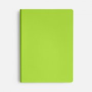 Ежедневник Flex Shall New, недатированный, светло-зеленый