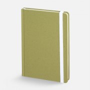 Блокнот Lactonica, зеленый