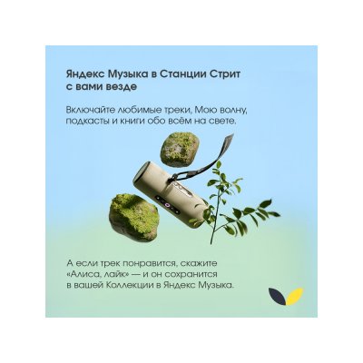 Умная колонка ЯНДЕКС Станция Стрит с Алисой арт. 212644