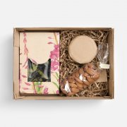 Набор Immuni, мед с манго