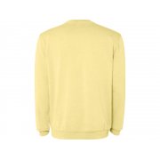 Свитшот «Jaya», унисекс арт. 2203SU801