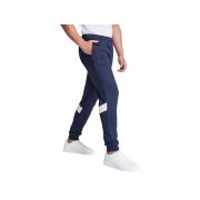 Брюки спортивные «Rodas», мужские арт. 341PA55