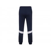 Брюки спортивные «Rodas», мужские арт. 341PA55