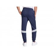 Брюки спортивные «Rodas», мужские арт. 341PA55