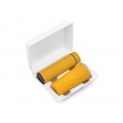 Подарочный набор «FAMILY» с термосом и термокружкой