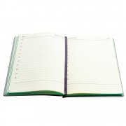 Ежедневник A5 недатированный Carisma в мягком переплёте, зеленый