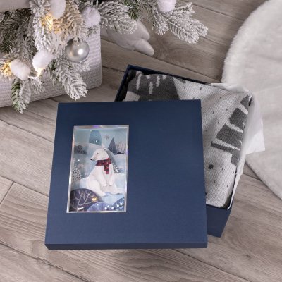 Коробка The Blue Bear, M арт. 24002.40