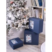 Коробка The Blue Bear, L