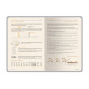 Ежедневник недатированный А5 «Boston»