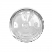 Бутылка для воды "Vita" с нанесением "Джунгли" 600 мл белый