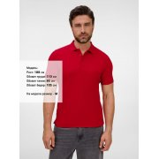 Рубашка поло унисекс Tervise, красная арт. 19419.50 Рубашка поло унисекс Tervise, красная арт. 19419.50