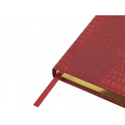 Ежедневник недатированный А5 «Amazonia»