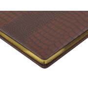 Ежедневник недатированный А5 «Amazonia»