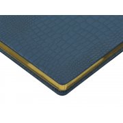 Ежедневник недатированный А5 «Amazonia»