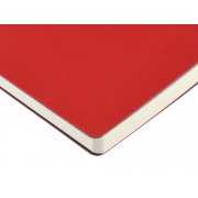 Ежедневник недатированный А5 «Agenda»