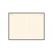 Ежедневник недатированный А5 «Megapolis Velvet»