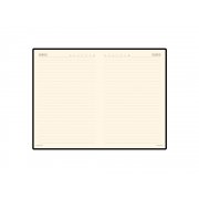 Ежедневник недатированный А5 «Megapolis Velvet»