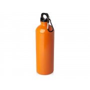 Одностенная бутылка для воды с карабином «Oregon», 750 мл