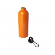 Одностенная бутылка для воды с карабином «Oregon», 750 мл