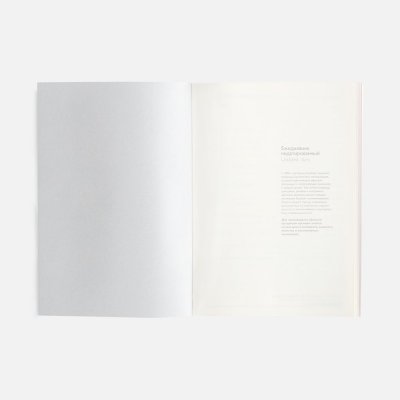 Ежедневник Repute, недатированный, серый арт. 20132.10 Ежедневник Repute, недатированный, серый арт. 20132.10