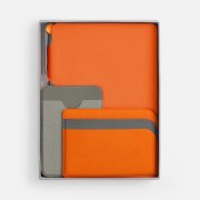 Набор Flexpen Dual, оранжевый арт. 20578.21 Набор Flexpen Dual, оранжевый арт. 20578.21