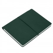 Ежедневник Flexpen Bright, недатированный, зеленый арт. 21168.90