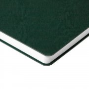 Ежедневник Flexpen Bright, недатированный, зеленый арт. 21168.90