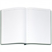 Ежедневник Flexpen Bright, недатированный, зеленый арт. 21168.90