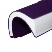 Ежедневник Flexpen Bright, недатированный, фиолетовый арт. 21168.70 Ежедневник Flexpen Bright, недатированный, фиолетовый арт. 21168.70