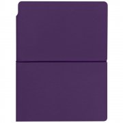 Ежедневник Flexpen Bright, недатированный, фиолетовый арт. 21168.70 Ежедневник Flexpen Bright, недатированный, фиолетовый арт. 21168.70