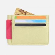 Чехол для карт Unison, светло-зеленый арт. 22108.90