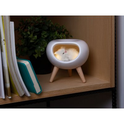 Ночник LED «Koko» арт. 595658p