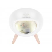 Ночник LED «Koko»