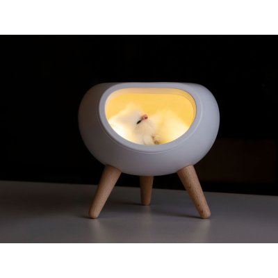 Ночник LED «Koko» арт. 595658p