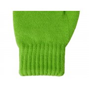 Варежки «Dunant»