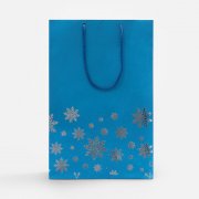 Пакет Wintry, синий