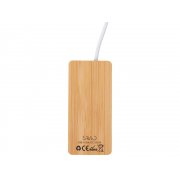 USB хаб с подсветкой лого «Reedia S5», 3*USB, 1*Type C