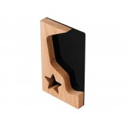 Награда «Starburst»